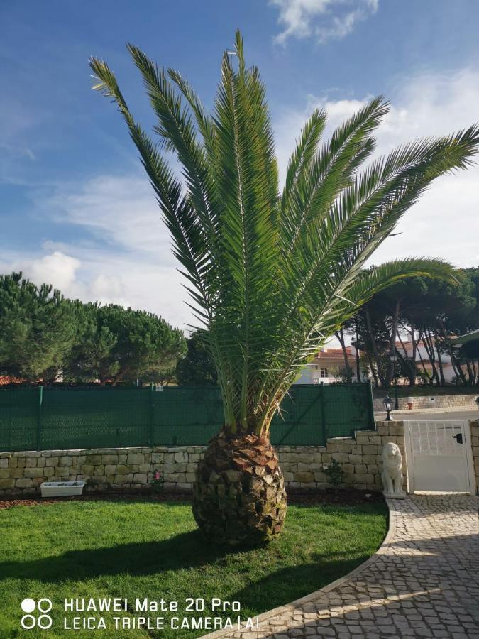 Villa Lala Amoreira  Екстер'єр фото